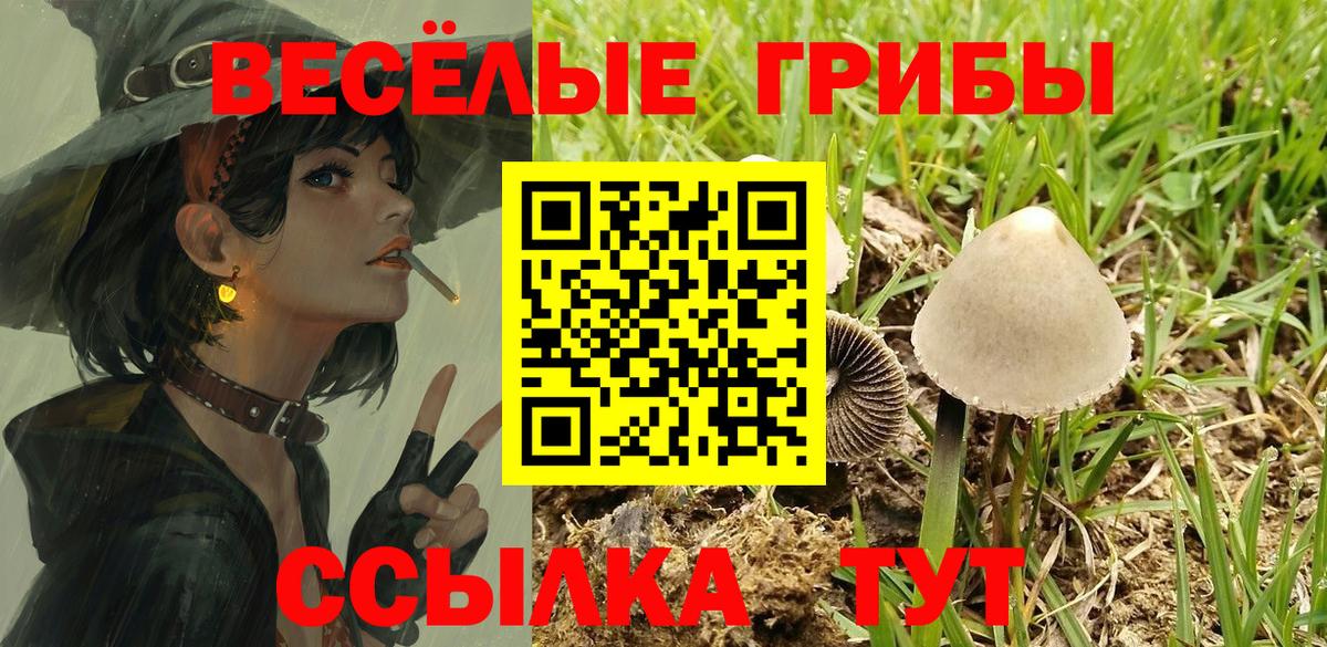 Галлюциногенные грибы Cubensis Ликино-Дулёво