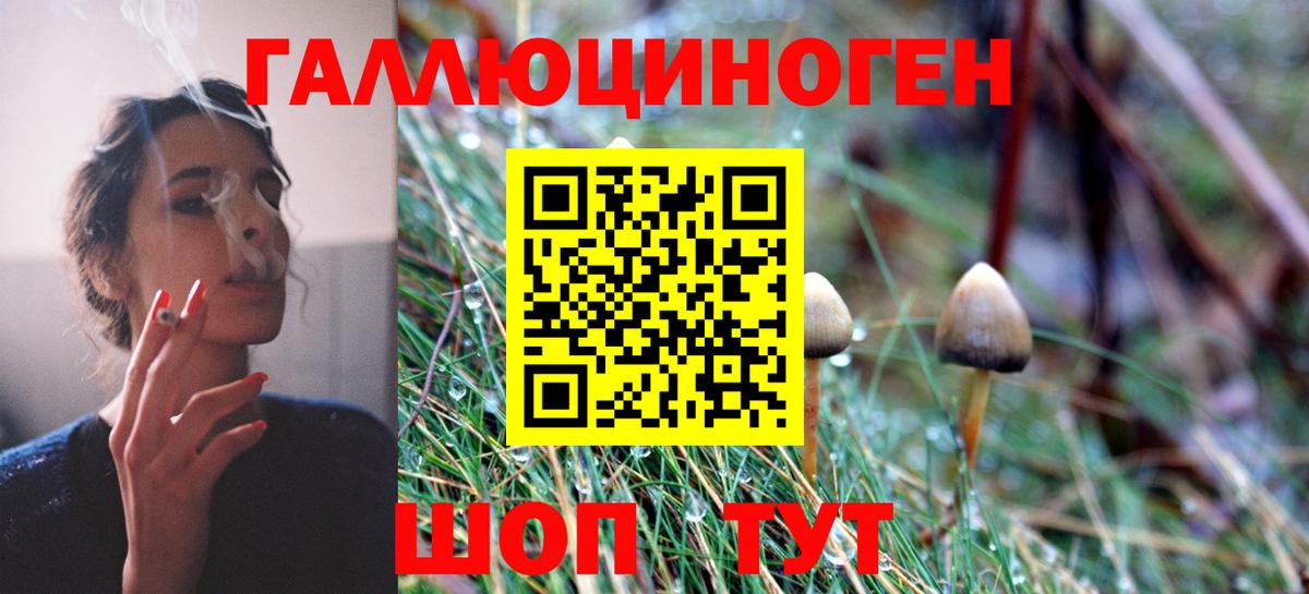 Ликино-Дулёво  магазин  наркотиков  Вход с VPN  Галлюциногенные грибы мухоморы 